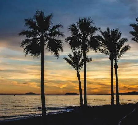 Loving Mediterranean